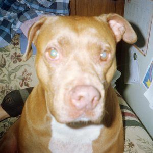 Meet your Posher, Patricia